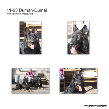 Dumah-Dumaj & Branco in de lente